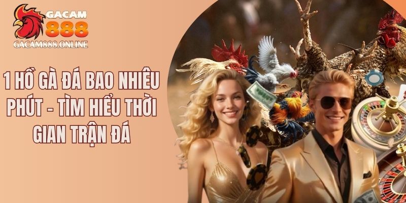 1 hồ gà đá bao nhiêu phút
