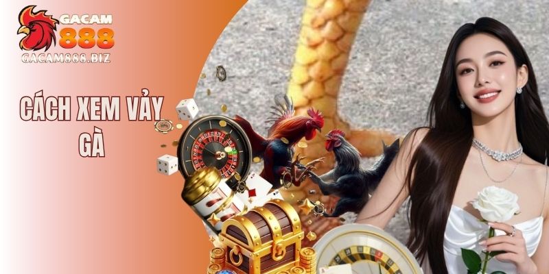 Cách xem vảy gà