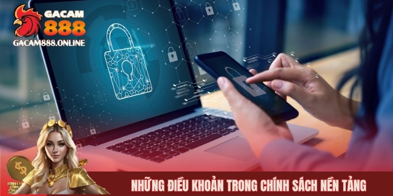 Những điều khoản trong chính sách nền tảng