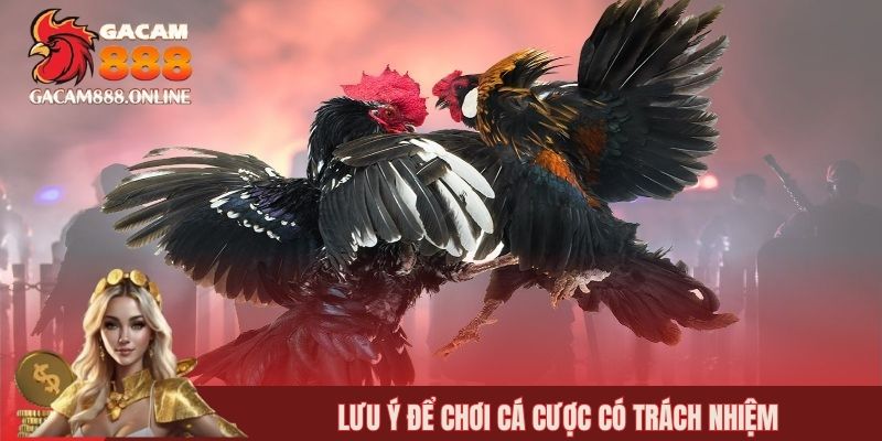Lưu ý để chơi cá cược có trách nhiệm