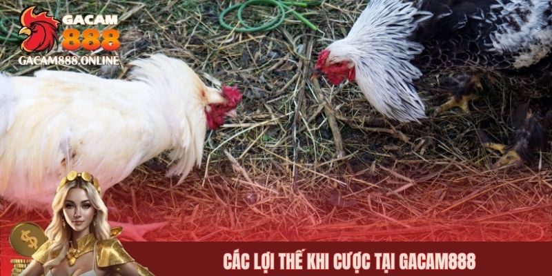 Các lợi thế khi cược tại GACAM888