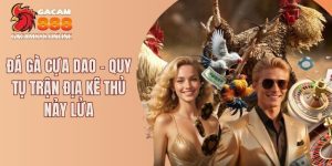 Đá gà cựa dao