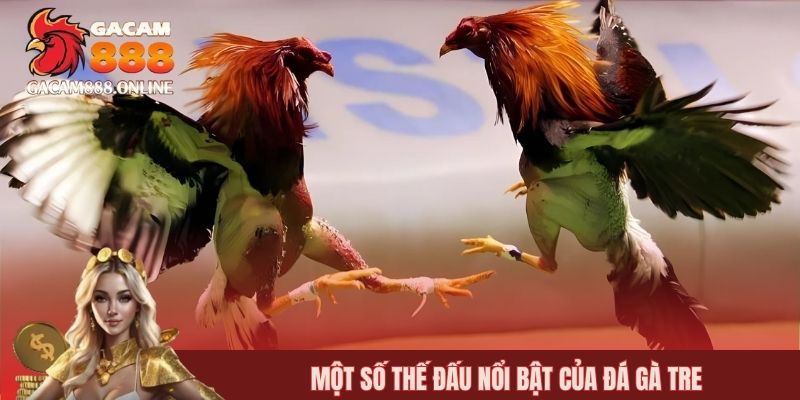 Một số thế đấu nổi bật của đá gà tre