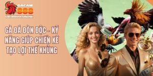 Gà đá đòn độc