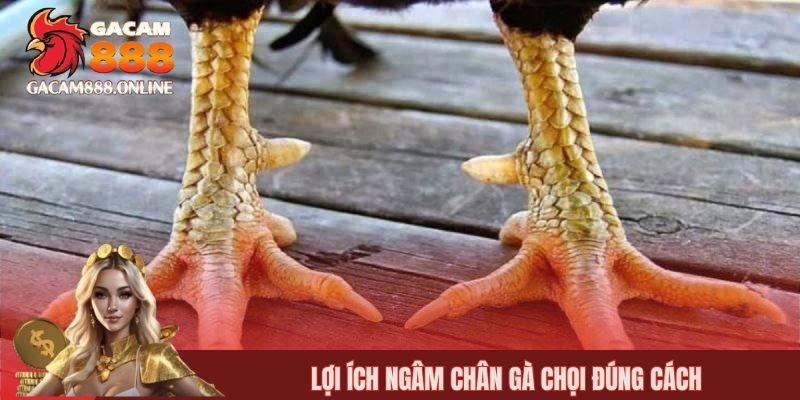 Lợi ích ngâm chân gà chọi đúng cách