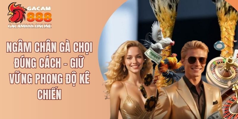 ngâm chân gà chọi đúng cách