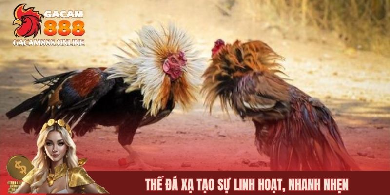 Thế đá xạ tạo sự linh hoạt, nhanh nhẹn