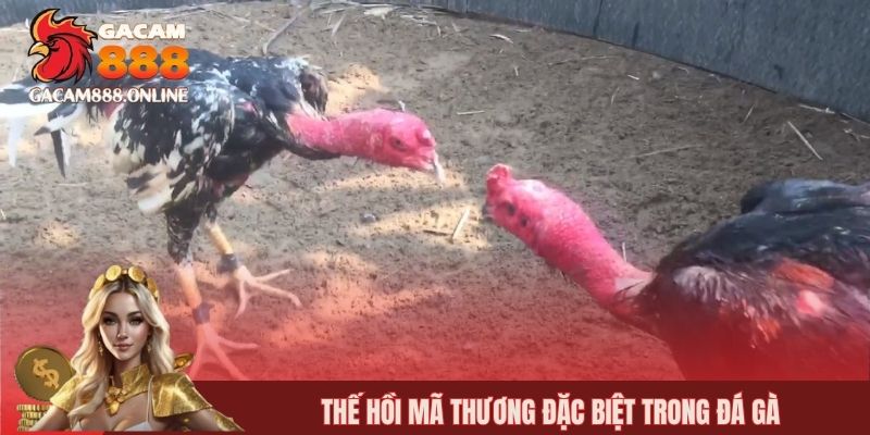 Thế hồi mã thương đặc biệt trong đá gà