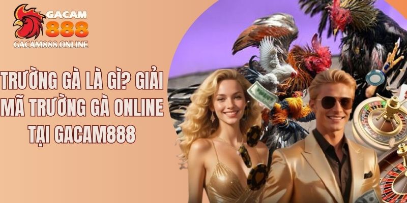 trường gà là gì