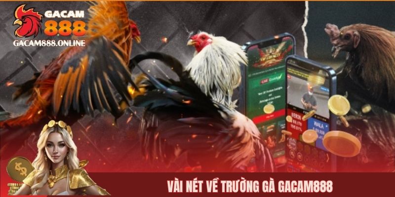 Vài nét về trường gà GACAM888
