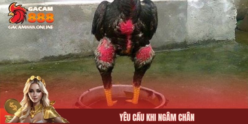 Yêu cầu khi ngâm chân